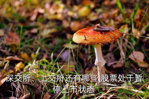 深交所、上交所還有哪些 股票處于暫停上市狀態(tài)