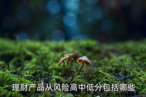  理財產(chǎn)品從風(fēng)險高中低分包括哪些