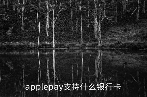 傳蘋果與中國銀聯(lián)達成合作