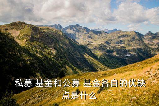  私募 基金和公募 基金各自的優(yōu)缺點是什么