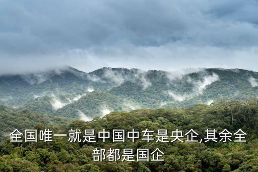 全國(guó)唯一就是中國(guó)中車(chē)是央企,其余全部都是國(guó)企