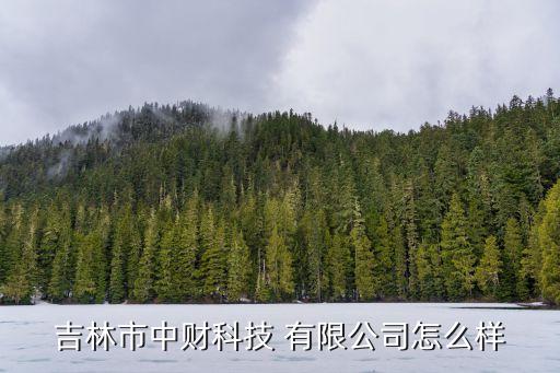 永嘉縣勝亞閥門(mén)有限公司