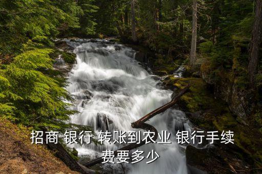  招商 銀行 轉(zhuǎn)賬到農(nóng)業(yè) 銀行手續(xù)費要多少