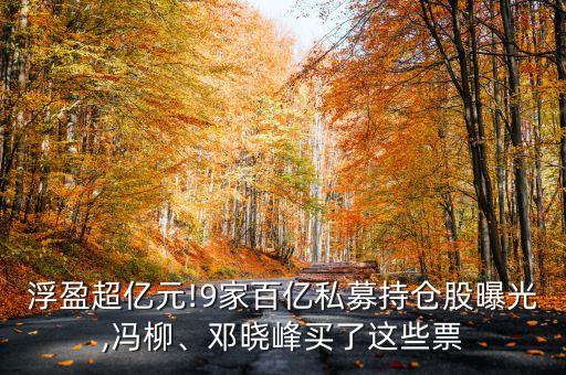 浮盈超億元!9家百億私募持倉股曝光,馮柳、鄧曉峰買了這些票