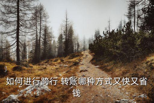 如何進行跨行 轉賬哪種方式又快又省錢