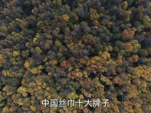 中國(guó)的愛(ài)馬仕,中國(guó)愛(ài)馬仕代言人