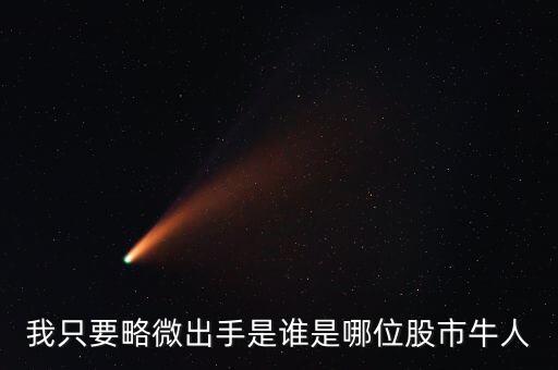 王亞偉系股票,私募基金王亞偉新進(jìn)股票