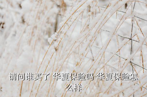 請(qǐng)問誰(shuí)買了 華夏保險(xiǎn)嗎 華夏保險(xiǎn)怎么樣