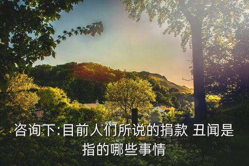 咨詢(xún)下:目前人們所說(shuō)的捐款 丑聞是指的哪些事情