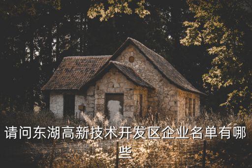 請問東湖高新技術開發(fā)區(qū)企業(yè)名單有哪些