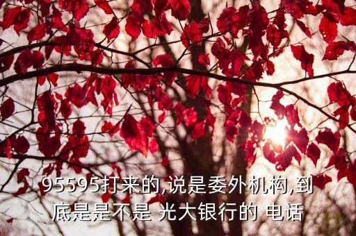 95595打來(lái)的,說(shuō)是委外機(jī)構(gòu),到底是是不是 光大銀行的 電話(huà)