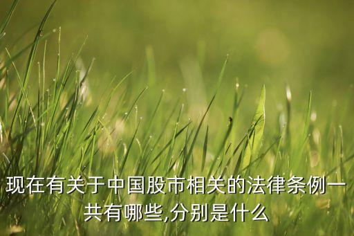 現(xiàn)在有關于中國股市相關的法律條例一共有哪些,分別是什么
