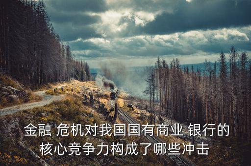  金融 危機對我國國有商業(yè) 銀行的核心競爭力構(gòu)成了哪些沖擊