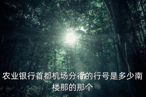 中國(guó)農(nóng)業(yè)銀行青島經(jīng)濟(jì)技術(shù)開發(fā)區(qū)支行