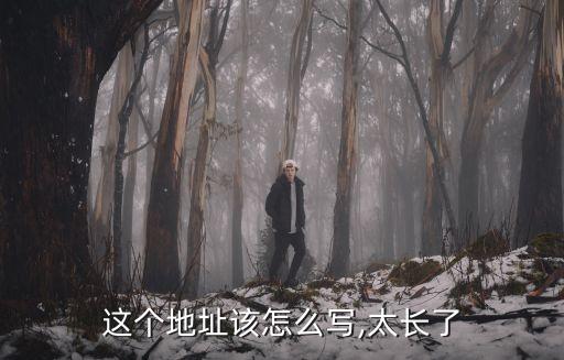 這個(gè)地址該怎么寫,太長了