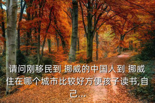請(qǐng)問(wèn)剛移民到 挪威的中國(guó)人到 挪威住在哪個(gè)城市比較好方便孩子讀書,自己...
