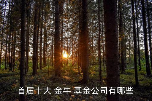 2013年度金牛基金