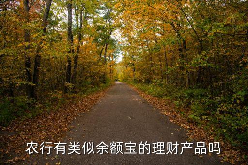 農行有類似余額寶的理財產品嗎